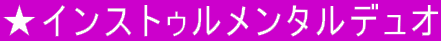 ★インストゥルメンタルデュオ